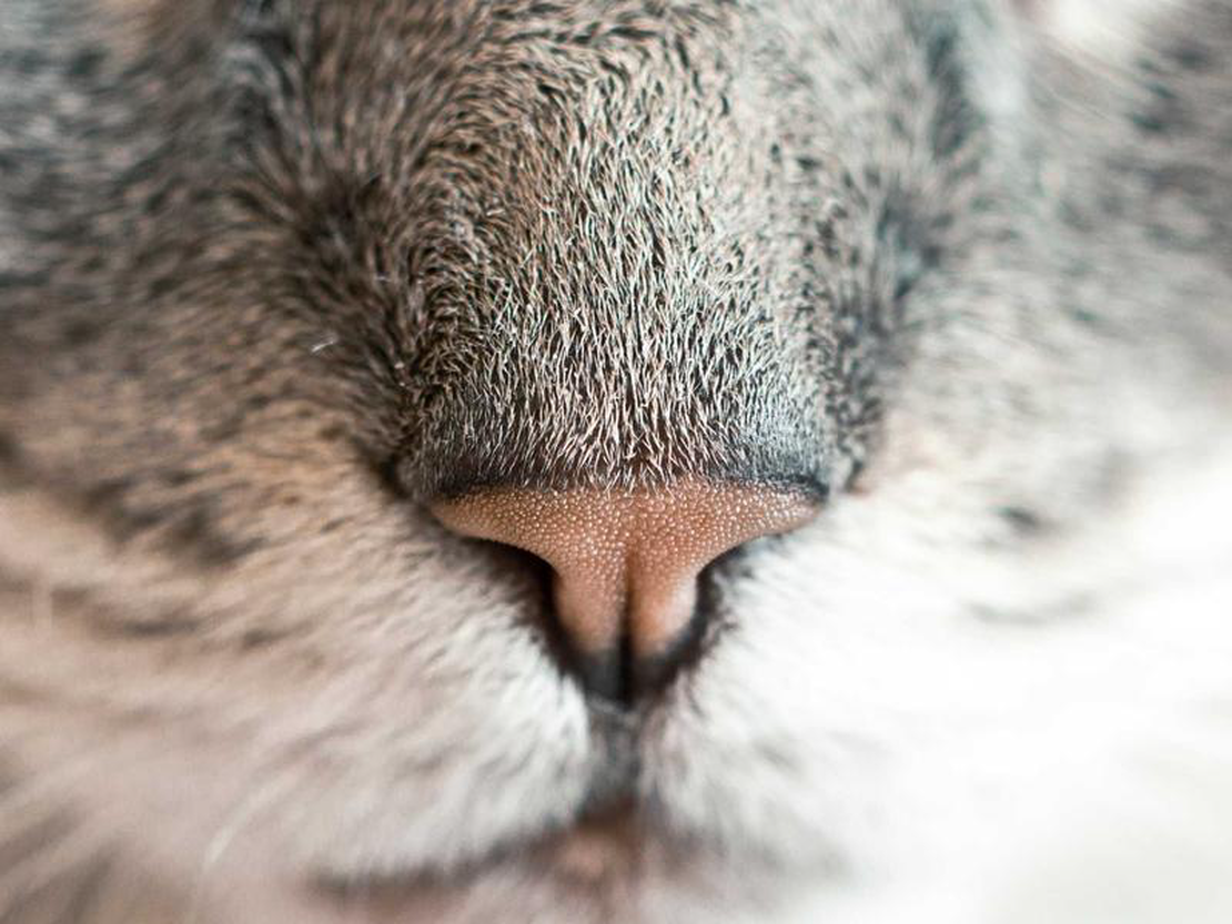 5 Common Logo Design Mistakes That Damage Your Brand Identity
